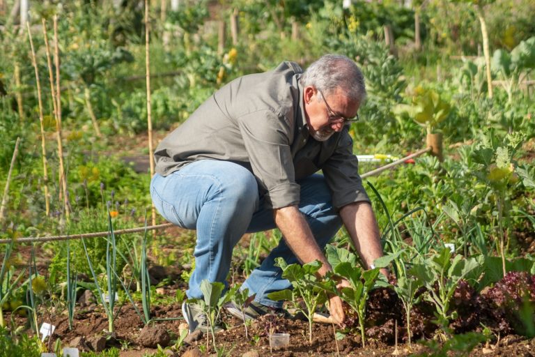 DIY kweekkast #moestuin