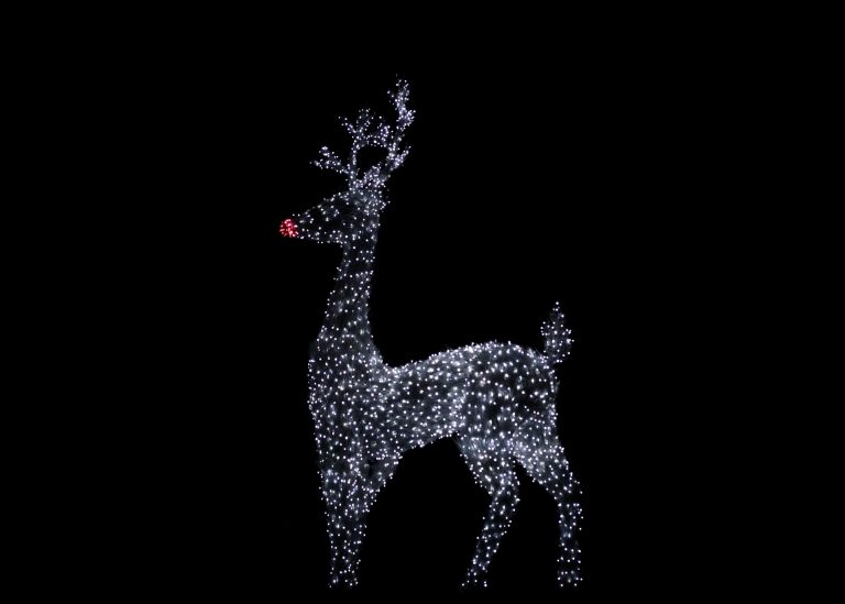 Rudolf het rendier #Knutselen