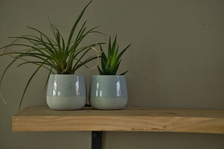 Plantenbak #DIY