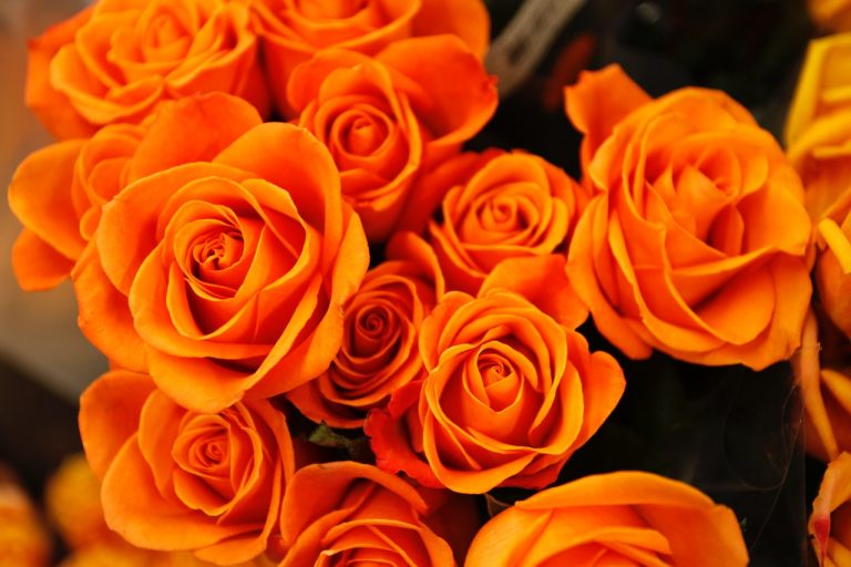 Bloemen Knutselen