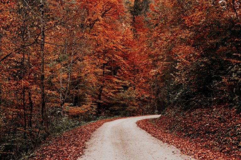 Wist je dat… #oktober 2017