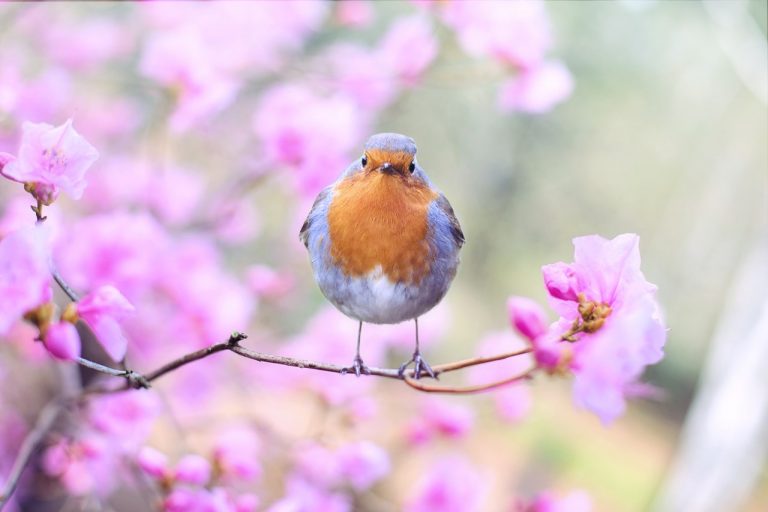 Lente Schoonmaak, doe jij eraan?