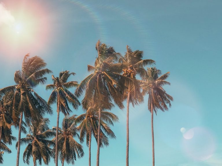 Zomervakantie… al bijna 2 weken voorbij