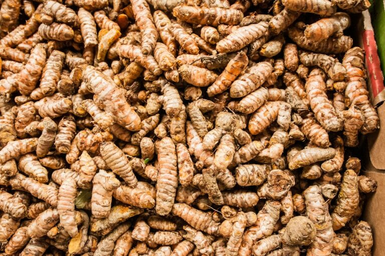 Waar komt kurkuma vandaan? De oorsprong van deze gele wortel